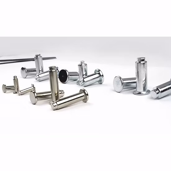 China Manufacturers Fastener Semi Tubular Rivet Tubular Rivets Flat Head Rivet Solid Rivet