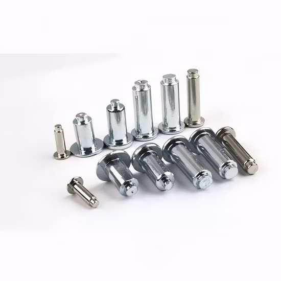 China Manufacturers Fastener Semi Tubular Rivet Tubular Rivets Flat Head Rivet Solid Rivet